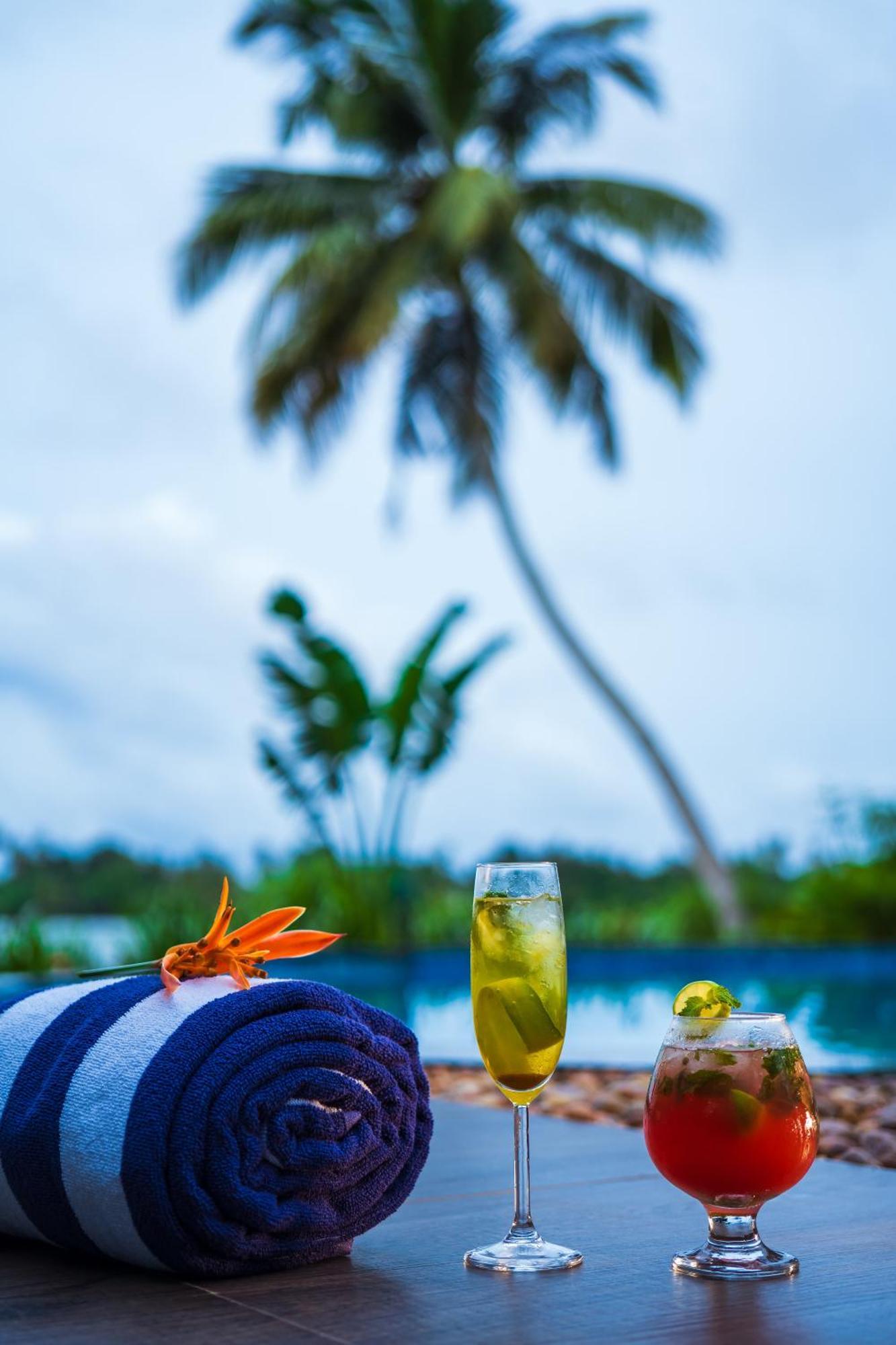 Vedic Village Retreat Kodungallur Kochi エクステリア 写真