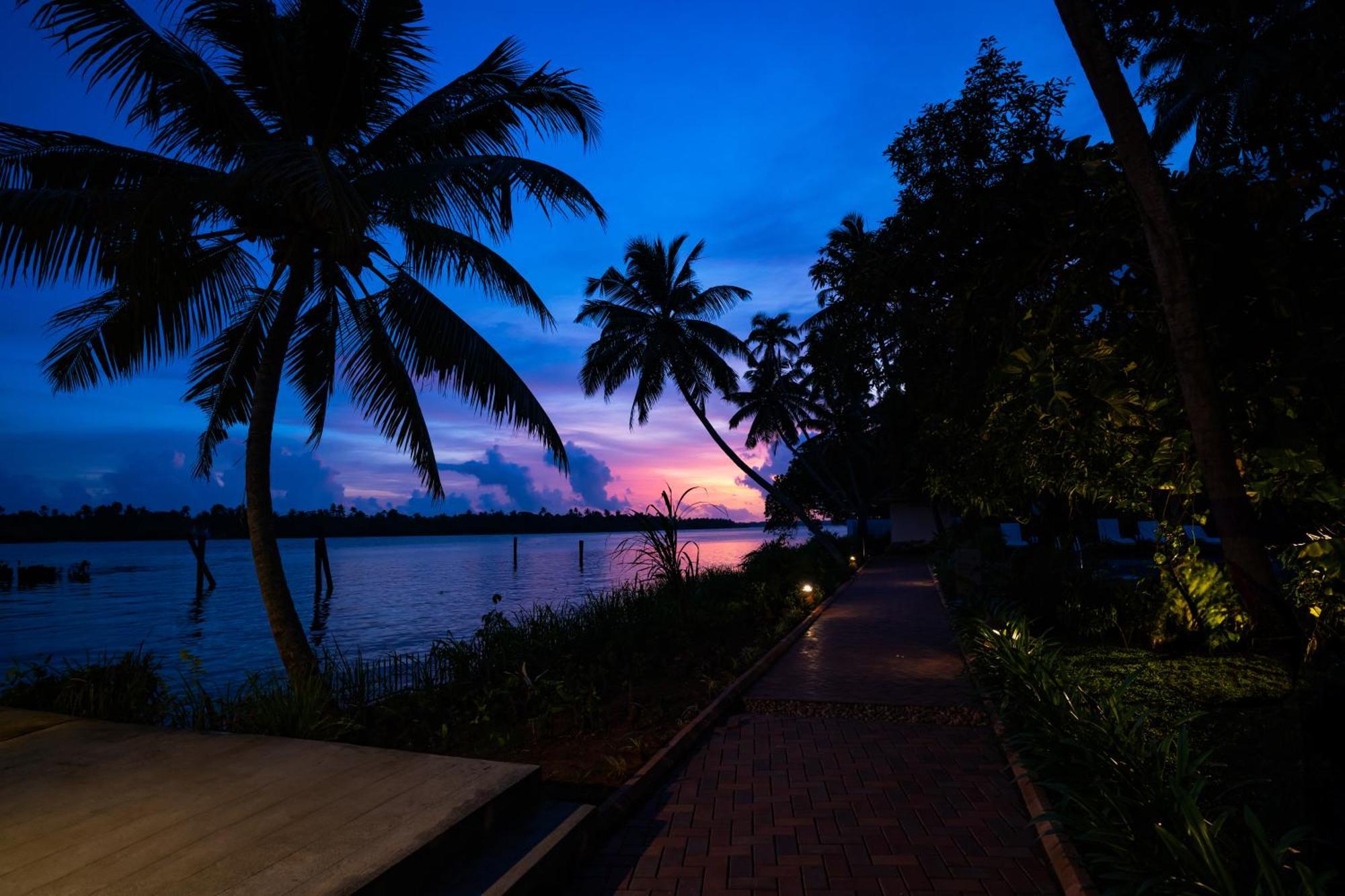 Vedic Village Retreat Kodungallur Kochi エクステリア 写真